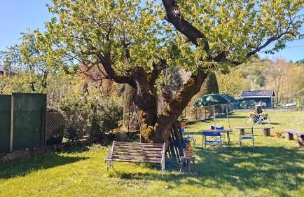 Il cortile - Foto 23