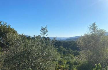 Quinta da Mal-disposta, cabin lodge Countryhouse - Foto 51