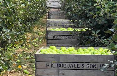 Aplanty Studio in the Orchard - Foto 19