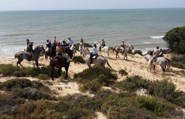 Doñana National Park Horse Riding Tour - Photo 3
