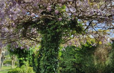 Rilhadas Casas de Campo - Foto 79