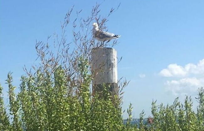 Holiday Home Reimers - Foto 19