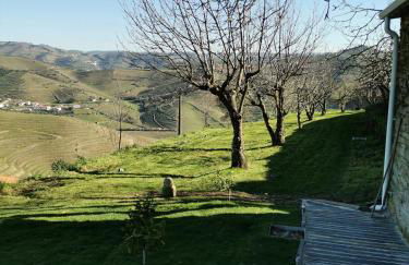 Quinta de Travassinhos- Douro Valley & Spa - Photo 11