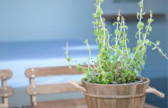 Axos Apartments - Photo 39