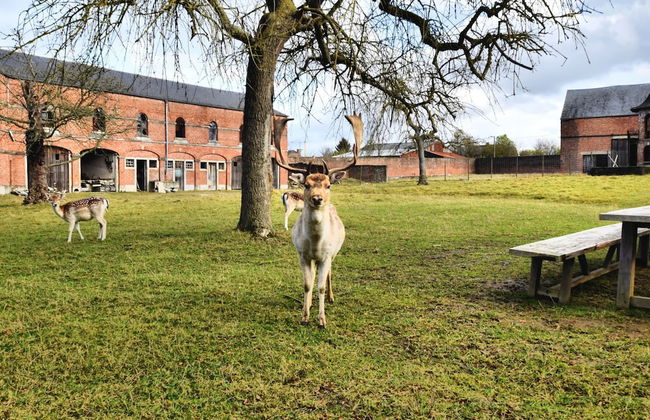 Stylish Stay With Sauna - Foto 42