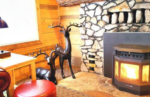 Sequoia Splendor, inside Kings Canyon NP by Visitors Center - Foto 13