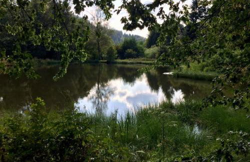 Am Mühlenberg - Foto 22