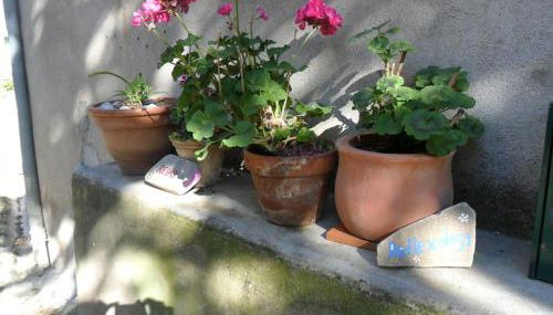 Ceps Cottage sleeps 6 with free wifi near the river - Foto 3