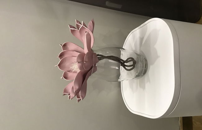 Vasco da Gama - Foto 14