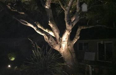 Historic Van Keppel Ranch - Foto 57