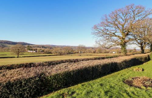 Berwyn View - Photo 35