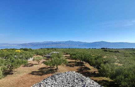 Villa Little Hill - Foto 30