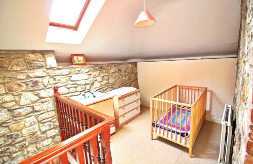 David's Organic Farm Wales - Foto 34