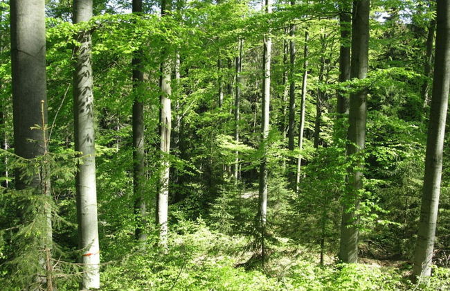 Gutsweg One - Apartment 3 - Foto 16