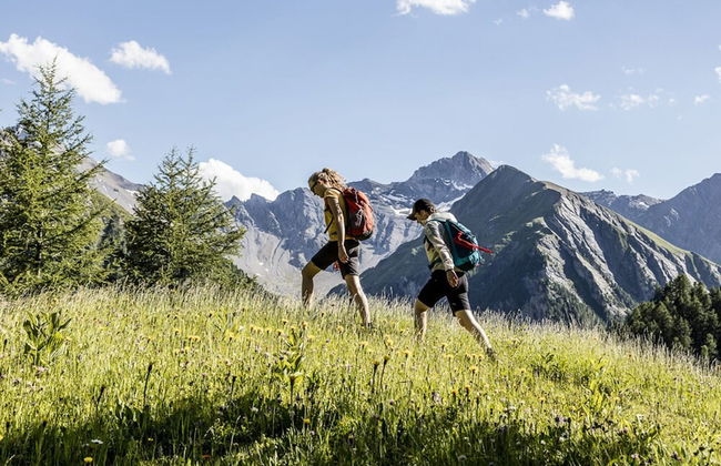 Apartment Anemone - Photo 14