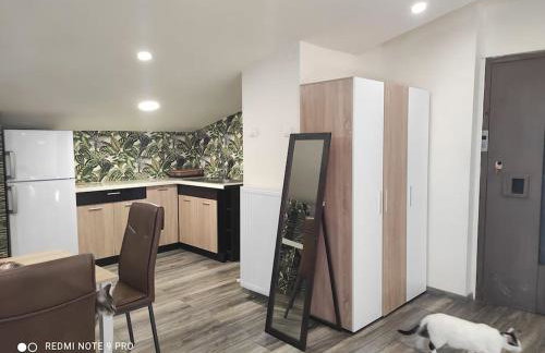 Σοφίτα Καλλύνω - Foto 17