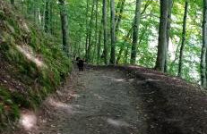 Kaszuby Punkt Klonowo Przywidz sauna klima basen - Foto 61