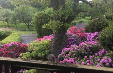 Auszeit auf dem KulturGut Hirtscheid - Foto 6