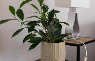 Ferienwohnung Hollerberg - Foto 6