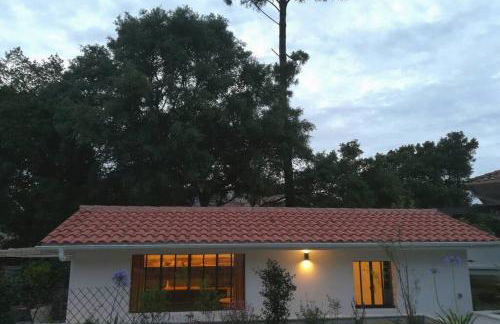 L'annexe des Cigales, à l'ombre des chênes lièges - Foto 18