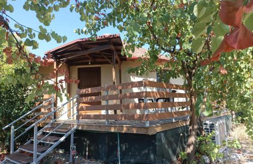 yurt experience - Photo 4