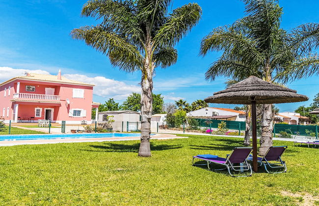 Das Amendoeiras - Foto 2