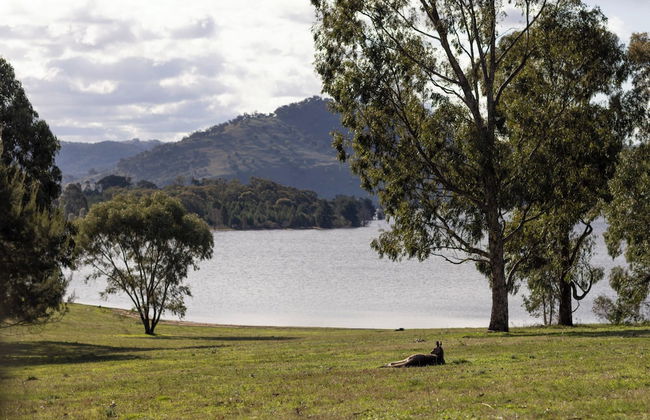 Reflections Grabine Lakeside - Holiday Park - Foto 38