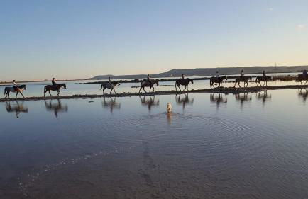 Casa Vacanza Sa Prenda - Foto 8