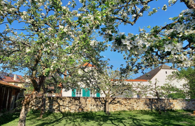 Kojetice na Moravě - Foto 35