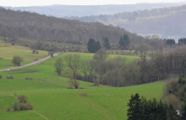 Modern Escape With Private Sauna - Photo 33