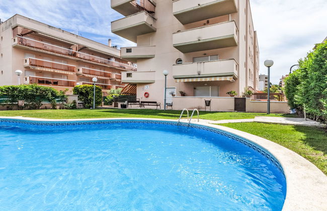 Bosc de la Montserrada - Foto 23