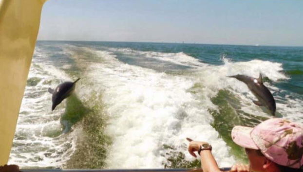 Vistas desde la embarcación