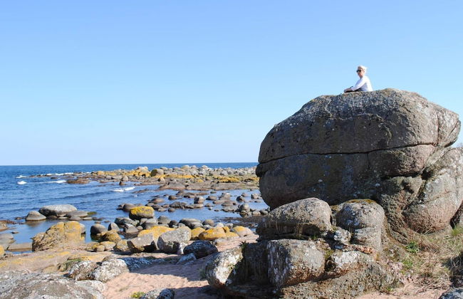 4 Person Holiday Home in Svaneke - Foto 8