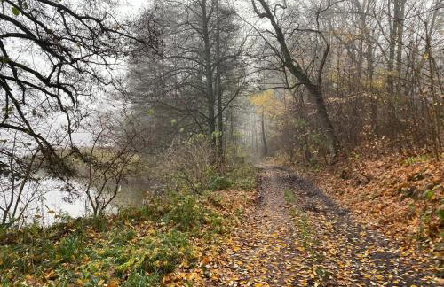 PRZYTULNY APARTAMENT Z KOMINKIEM PRZY JEZIORZE - Foto 17