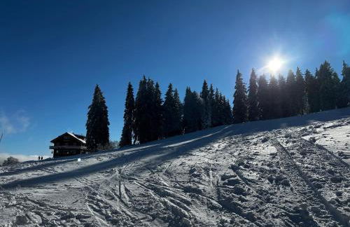 Feldberg Apartment - direkt an der Skipiste - mit Sauna - Foto 53