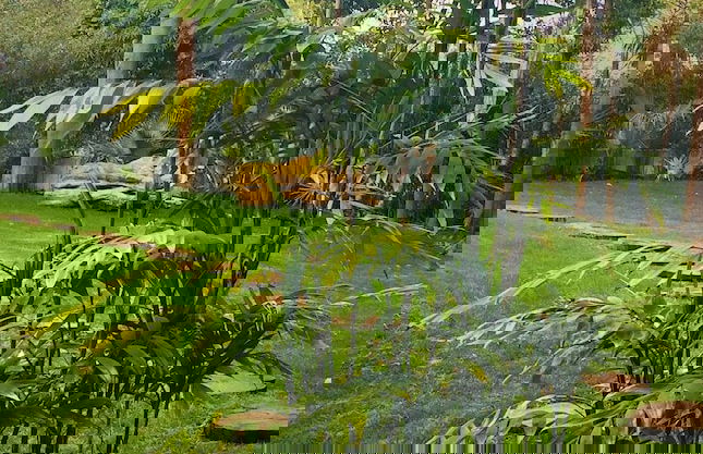 Engy Estoril - Luxury Villas - Foto 40