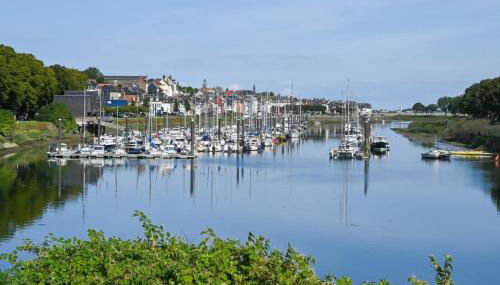 Les cigognes gites de la reserve - Foto 5