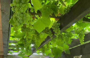 Ferienwohnung - Foto 9