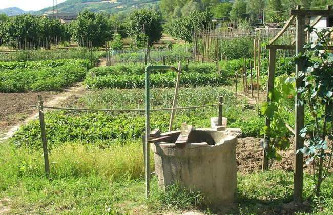 Ca D' Becon - Photo 32