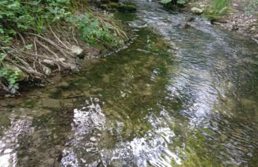 Casa Biron - Foto 27