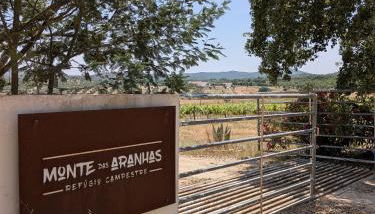 Monte das Aranhas - Foto 4