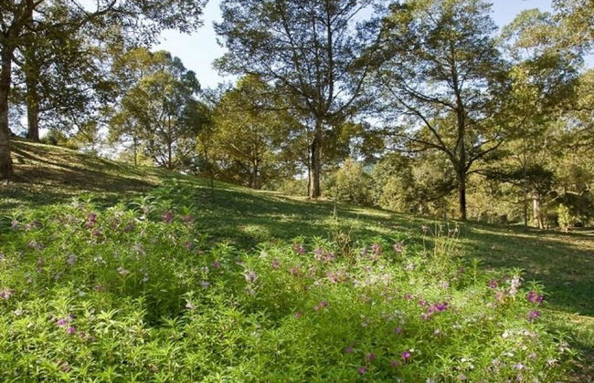 Tanah Aina Farouq - Foto 26