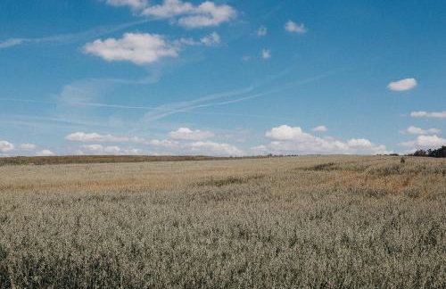 Agroturystyka Pod Dębem - Foto 17