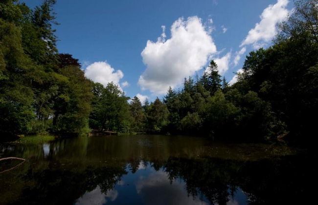 Superb Villa in the Woods of Gaasterland With Wifi and Fireplace - Foto 27