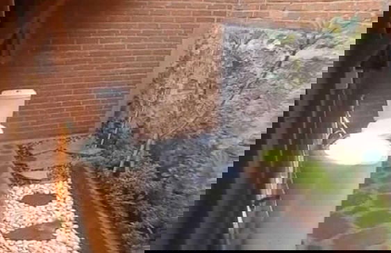 khethech house - Foto 15