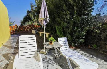 Iraña del bosque - Foto 15