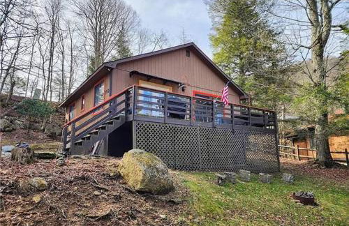 Cozy Cabin Walkable to Beech Mt Resort - Foto 3