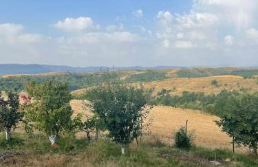 Peaceful cottage with incredible panoramic view - Foto 20