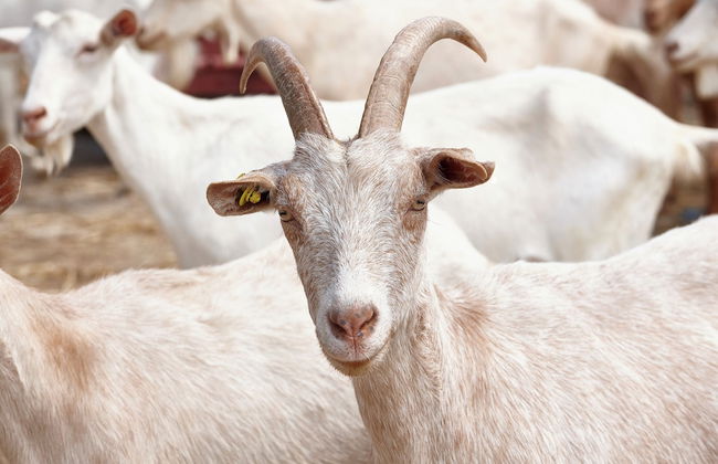 agriturismo i moresani - Photo 68