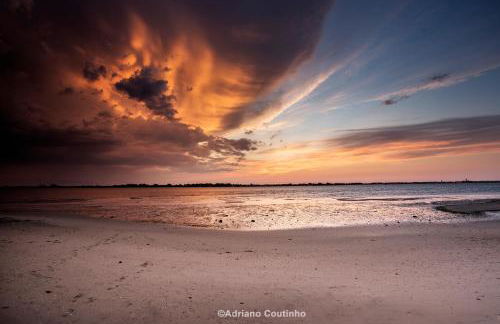 Ria de Aveiro White House - Foto 36